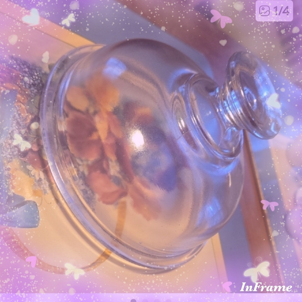 Clear Glass Cloche Dome with Knob